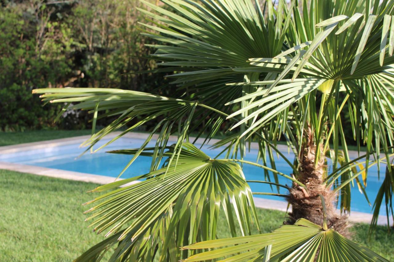 Mas Les Romarins, 10 Min D'Uzes, Piscine Et Grand Jardin Clos, Jeux, Nid De Repos Et Base Pour Activites Dans Le Gard (Adults Only) Exterior photo